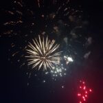 Silvester - nicht für alle eine Freude