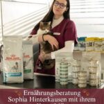 Ernährungsberatung - Sophia Hinterkausen
