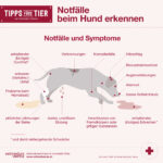 Notfälle - Emergency