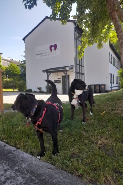 5a016e1d-c23c-4ac6-91d7-9a6937919f58